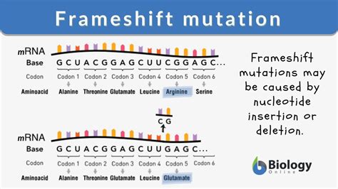 do substitution mutations result in frameshift